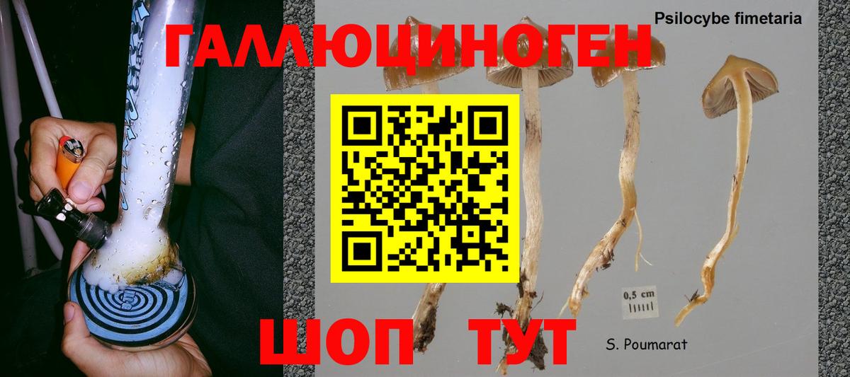 Псилоцибиновые грибы GOLDEN TEACHER Ступино